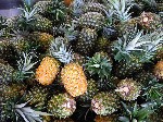 Yummmm, love fresh fruit in Costa Rica